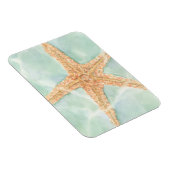 水に航海のおけるヒトデ マグネット (右側)