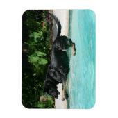 水に飛び込むドイツの羊飼い マグネット (縦)