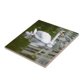 水にnestlingsを持つコブハクチョウ タイル (側面)