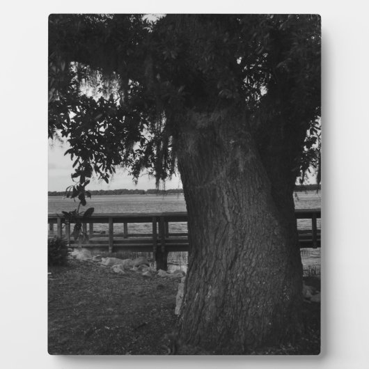 水のそばの木と波止場 フォトプラーク (正面)