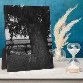 水のそばの木と波止場 フォトプラーク (側面)