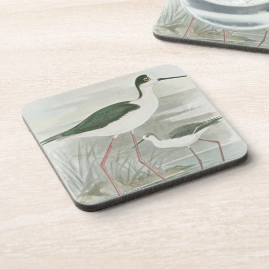 水のそばの黒い首のスチル コースター (左側)