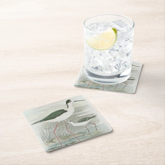 水のそばの黒い首のスチル スクエアペーパーコースター (インサイチュ)