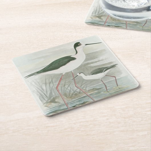 水のそばの黒い首のスチル スクエアペーパーコースター (アングル)