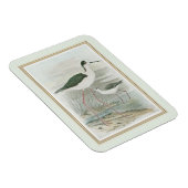 水のそばの黒い首のスチル マグネット (右側)