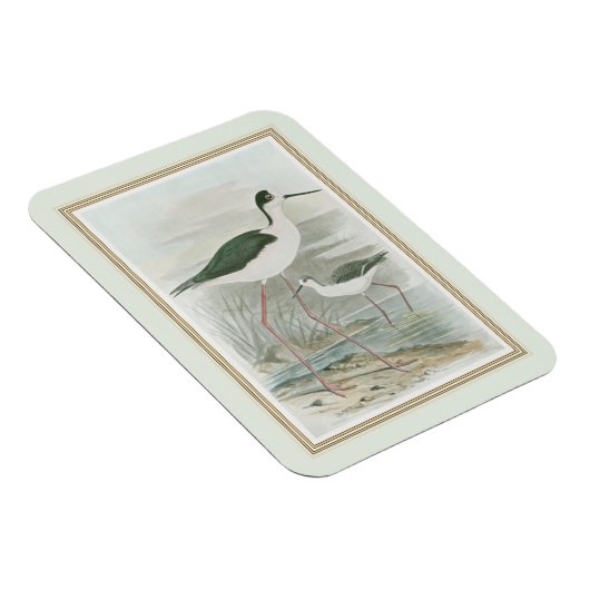 水のそばの黒い首のスチル マグネット (右側)