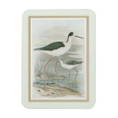 水のそばの黒い首のスチル マグネット (縦)