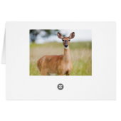 水のための鹿のパンツとしてバイブル詩編42カード (裏面横)