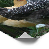 水ののまわりにポスターをクールゴシップする ポスター (角)