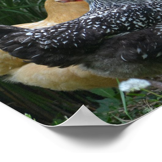 水ののまわりにポスターをクールゴシップする ポスター (角)