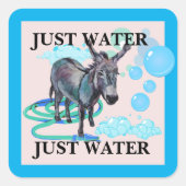 水のみ スクエアシール (正面)