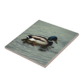 水のアヒル タイル (側面)