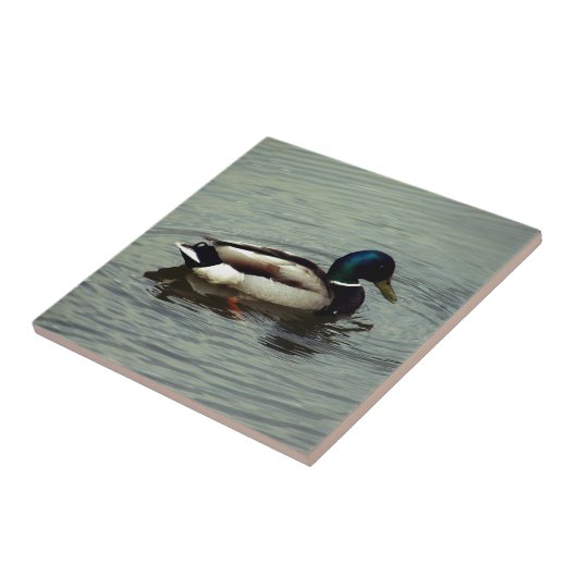 水のアヒル タイル (側面)