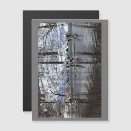 水のガゼの揚水