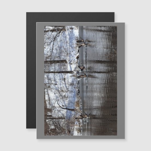 水のガゼの揚水 (正面/裏面)