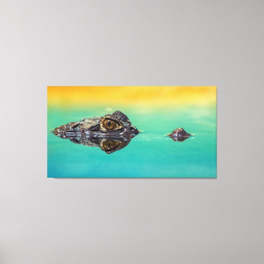 水のキャンバス印刷の静止体上のワニ キャンバスプリント (正面)