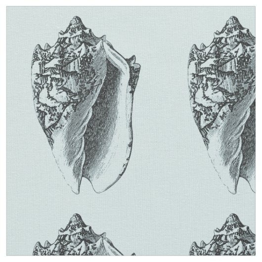 水のコンシュの貝 ファブリック (クローズアップ)