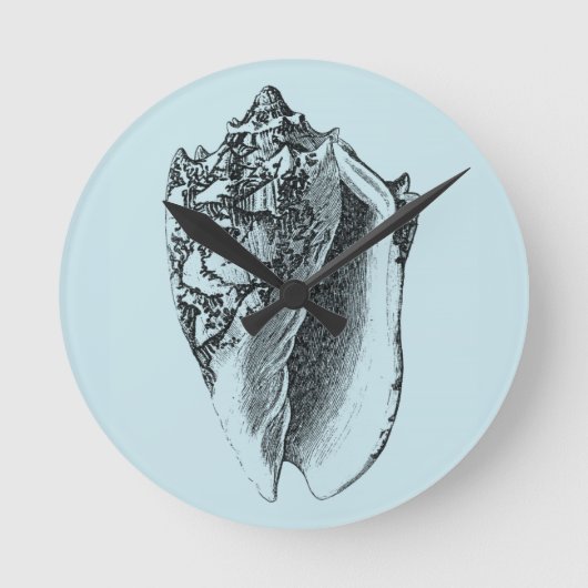 水のコンシュの貝 ラウンド壁時計 (正面)