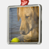 水のテニス・ボールが付いている黄色いラブラドル メタルオーナメント (左)