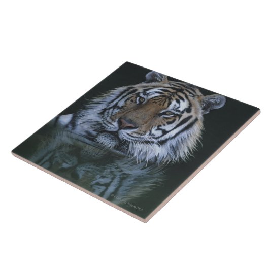 水のトラ タイル (側面)