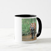 水のトラ マグカップ (正面右)