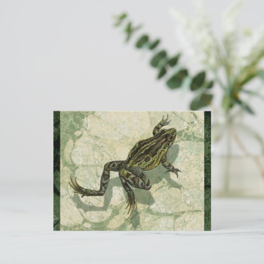 水のヒキガエルSwinning ポストカード (スタンド正面)
