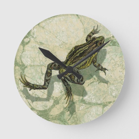 水のヒキガエルSwinning ラウンド壁時計 (正面)