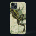 水のヒキガエルSwinning iPhone 13ケース<br><div class="desc">視野のスタジオはこの芸術の部分でgiclée ("吹きかかるべきフランス語のための")の技術を使用しています。 それはこのイメージで緑のそれユニークにおよび異なった陰にpeacefulnessを強調させます。 Zazzleあなたの次のプロダクトのためのアートワークのこの部分を選んで下さい。</div>