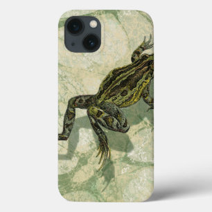 水のヒキガエルSwinning iPhone 13ケース