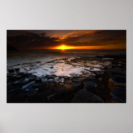 水のプール ポスター (正面)