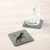 水のボクサー犬 コースター (右側)