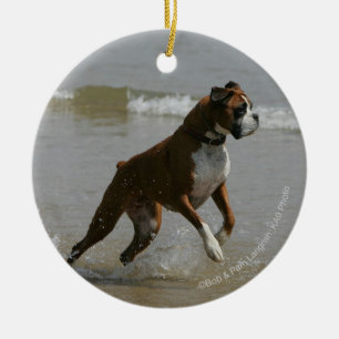 水のボクサー犬 セラミックオーナメント