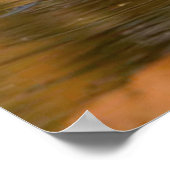 水のポスターからあなたを見てベンガルタイガー2 ポスター (角)