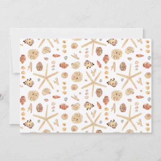 水のモダン色の貝殻の移動 案内状 (裏面)