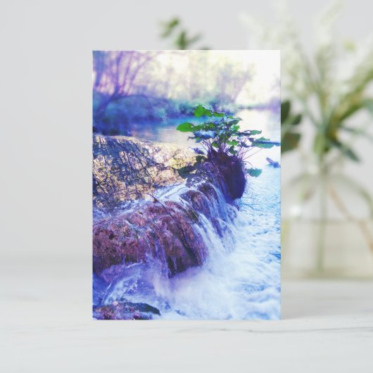 水のモヤ 招待状 (スタンド正面)