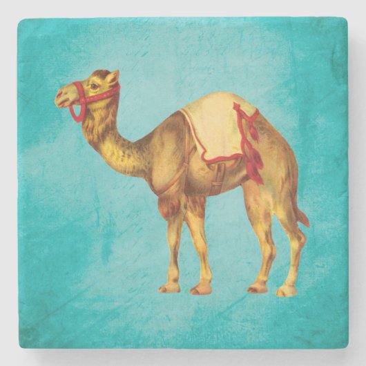 水のヴィンテージのサーカスのラクダ ストーンコースター (正面)