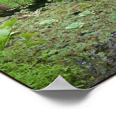 水の上で緑色 ポスター (角)