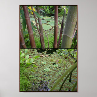 水の上で緑色 ポスター