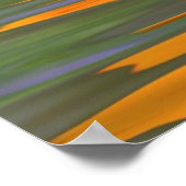 水の上にオレンジコスモスの花 ポスター (角)