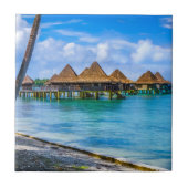 水の上に住む タイル (正面)