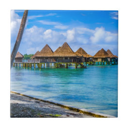 水の上に住む タイル