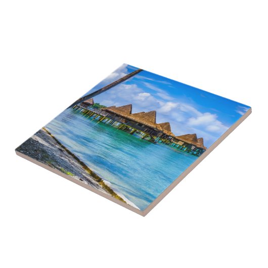 水の上に住む タイル (側面)