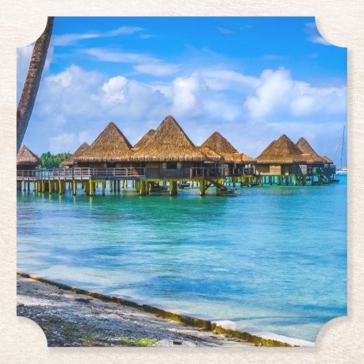 水の上に住む ペーパーコースター (正面)