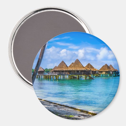 水の上に住む マグネット (正面/裏面)