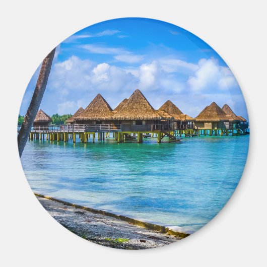 水の上に住む マグネット (正面)