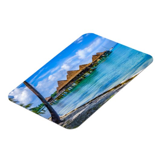 水の上に住む マグネット (左側)