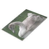 水の上に優雅な白鳥のメモ帳 ノートパッド (アングル)