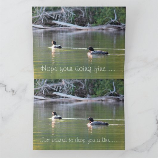 水の上に浮かぶ カード (内部)