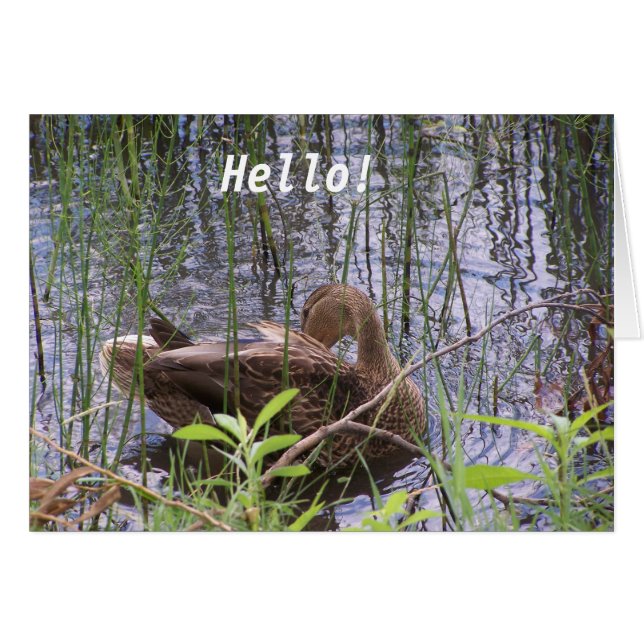 水の上に潜る (正面横)