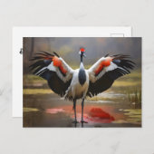 水の上に立つ赤い冠の鶴 ポストカード (正面/裏面)